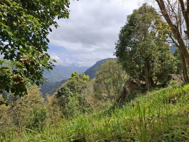 苗栗泰安農地-2