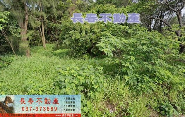 苗栗後龍農地-0