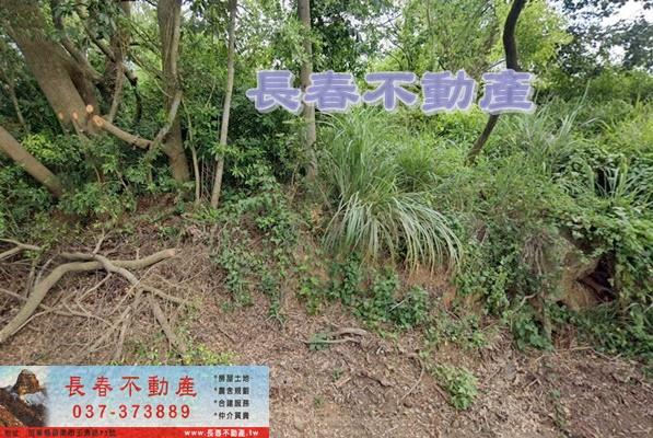 苗栗苗栗市農地-0