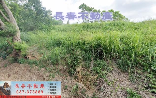 苗栗苗栗市農地-1