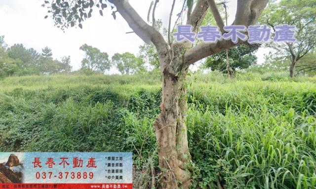 苗栗苗栗市農地-0