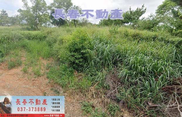 苗栗苗栗市農地-1