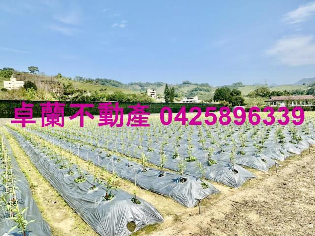 苗栗卓蘭農地-3