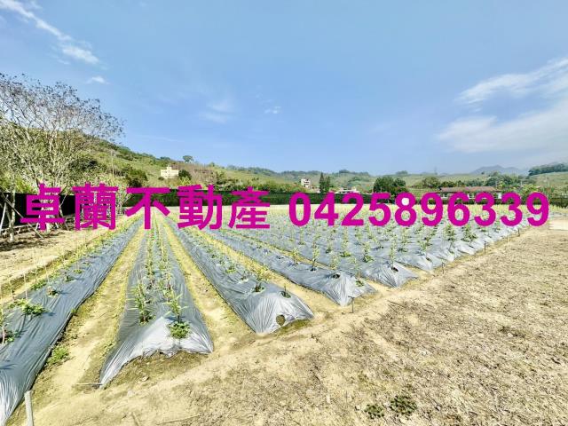 苗栗卓蘭農地-4
