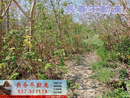 苗栗苗栗市建地-0