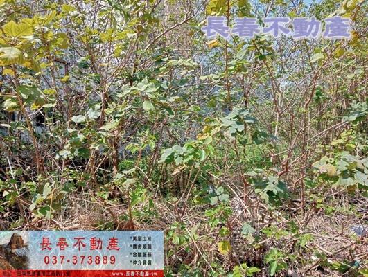 苗栗苗栗市建地-1
