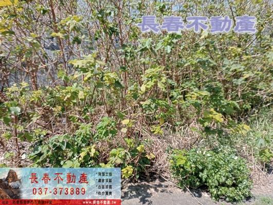 苗栗苗栗市建地-2