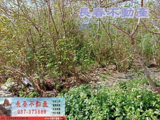 苗栗苗栗市建地-3