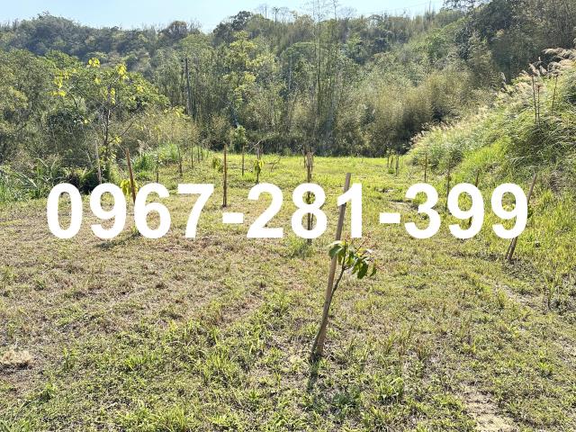 苗栗造橋農地-0