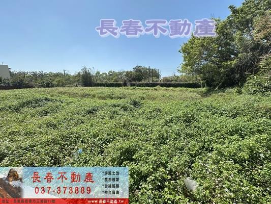 苗栗竹南農地-0