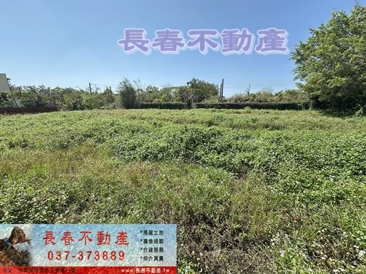 苗栗竹南農地-1