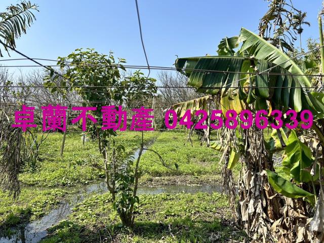 卓蘭農地-5