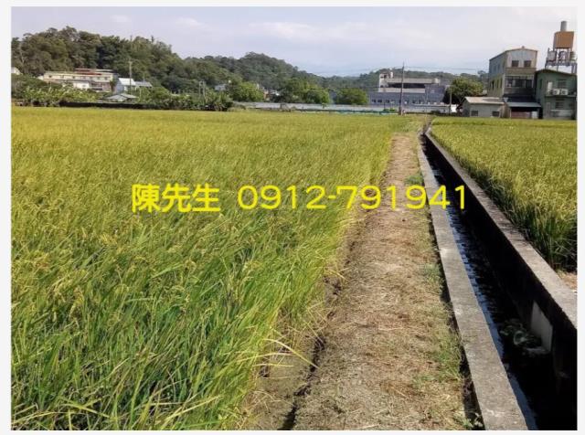 頭份農地-2
