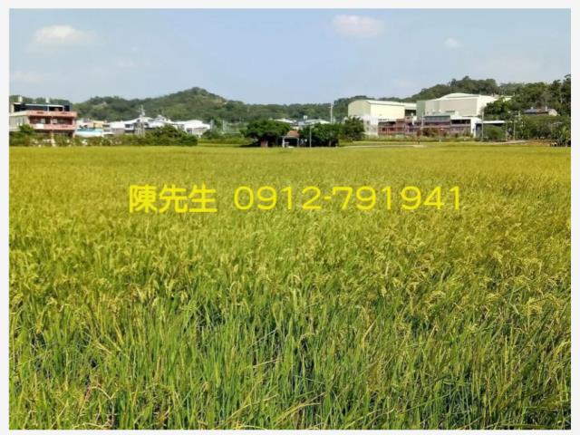 頭份農地-3