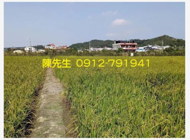 頭份農地-5