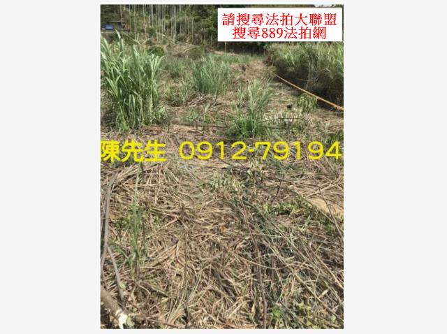 苗栗三灣農地-9