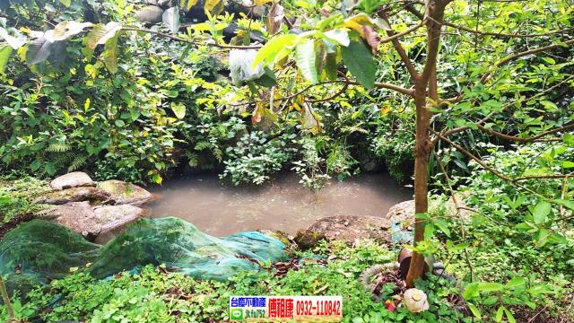 苗栗三灣農地-13