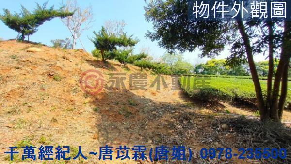 苗栗苗栗市建地-7