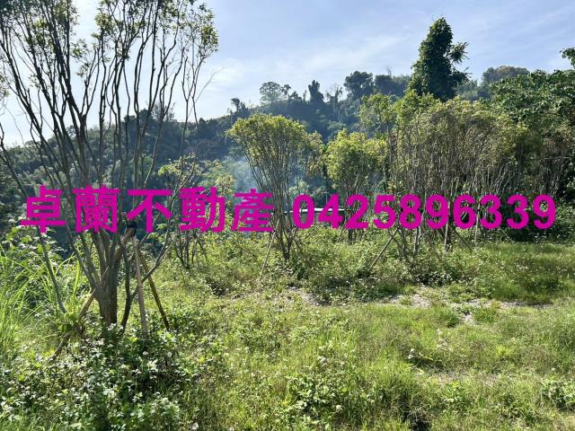 苗栗農地-0