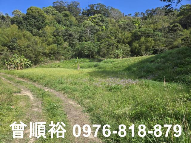 三灣農地-2