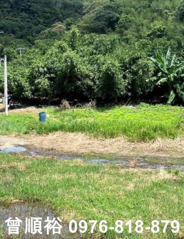 三灣農地-8