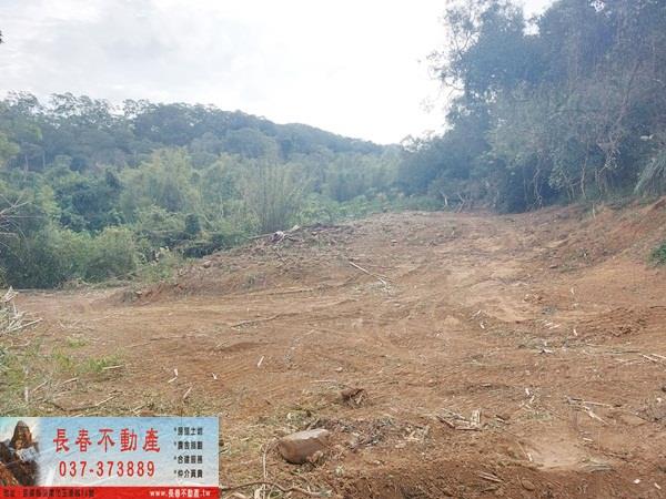 苗栗西湖農地-3