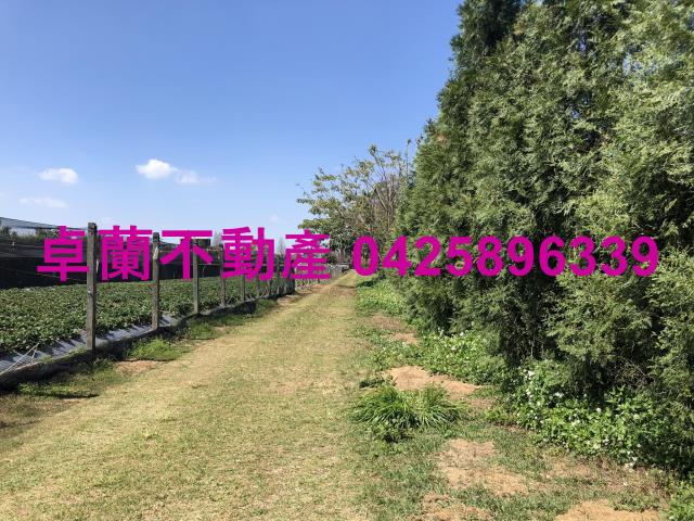 苗栗卓蘭農地-9