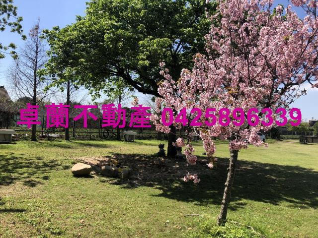 苗栗卓蘭農地-5