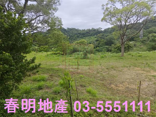 苗栗三灣農地-9