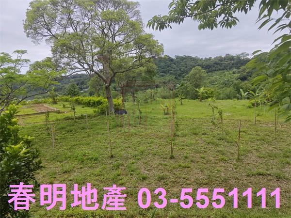 苗栗三灣農地-11