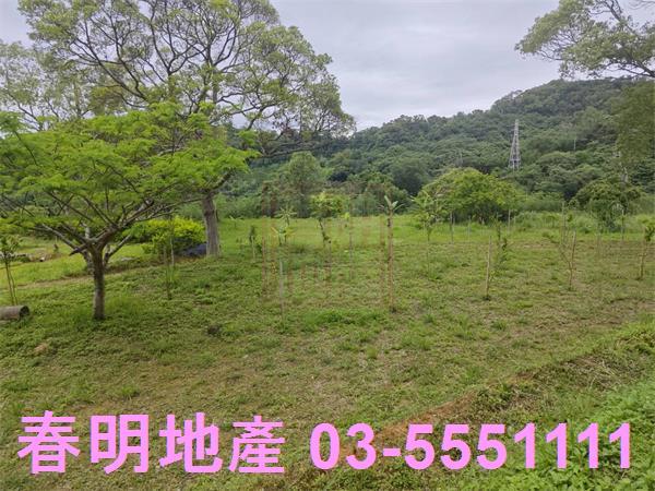 苗栗三灣農地-13