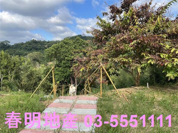 苗栗三灣農地-2