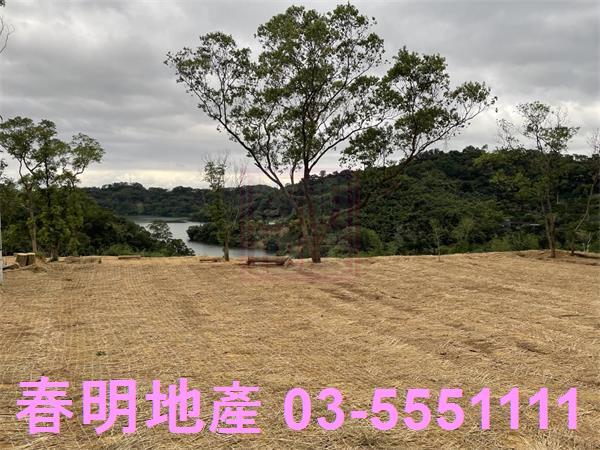 苗栗三灣農地-5