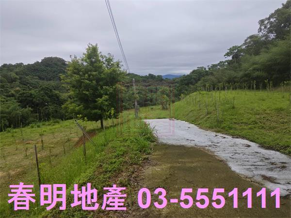 苗栗三灣農地-6