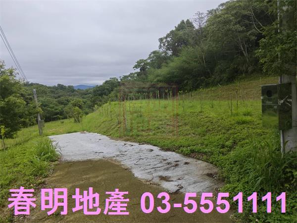 苗栗三灣農地-7