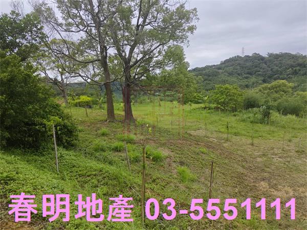 苗栗三灣農地-8