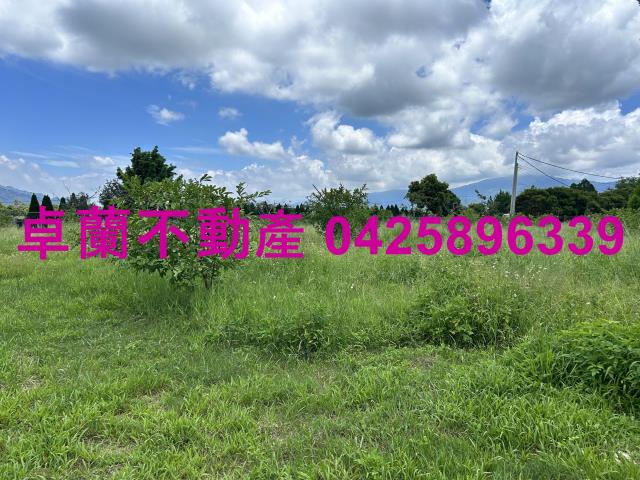 苗栗卓蘭農地-0