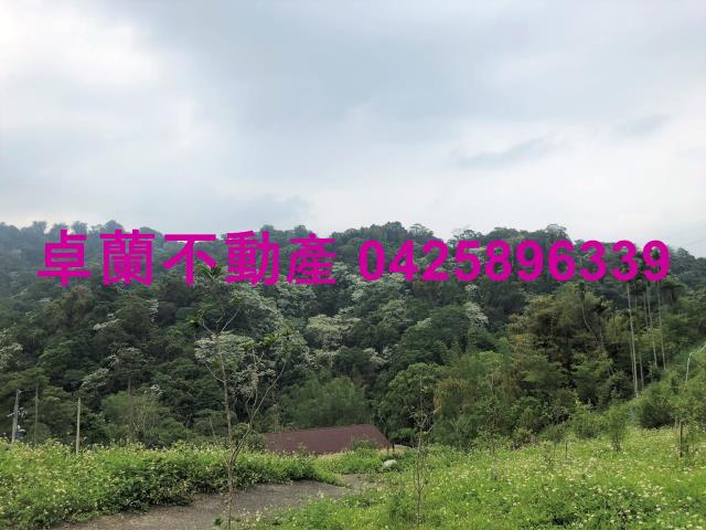 苗栗農地-10