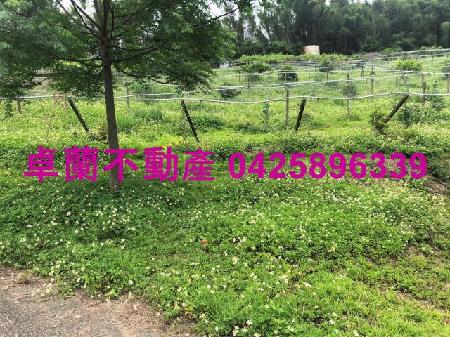 苗栗農地-7