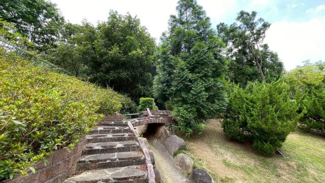 苗栗頭份農地-9