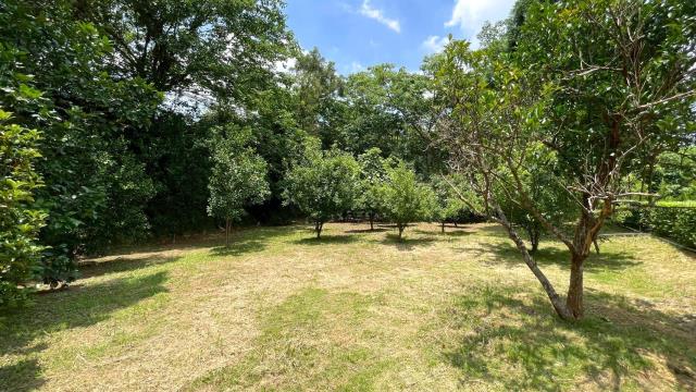 苗栗頭份農地-10