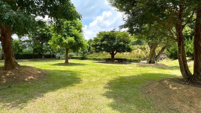 苗栗頭份農地-11