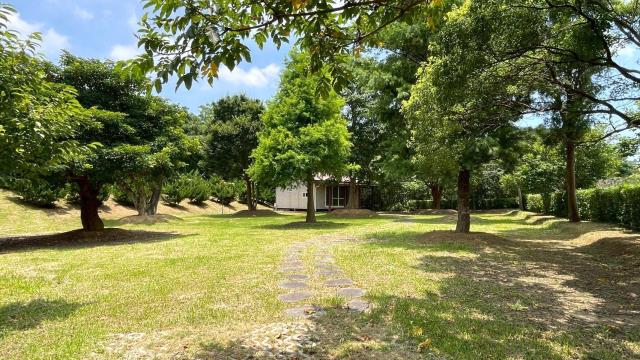 苗栗頭份農地-3