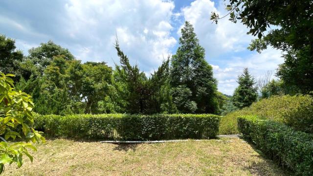 苗栗頭份農地-7