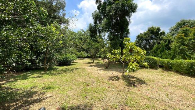 苗栗頭份農地-8