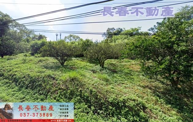 苗栗大湖農地-0