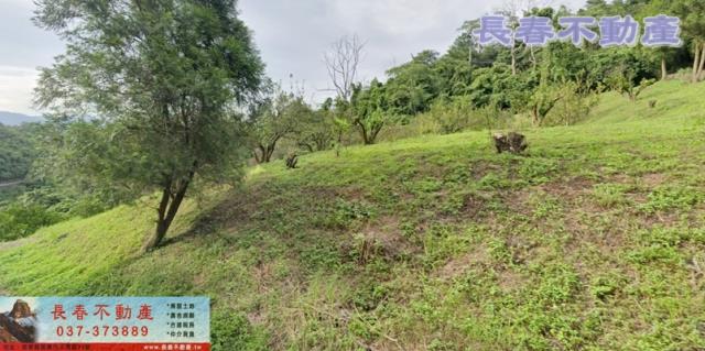 苗栗大湖農地-1