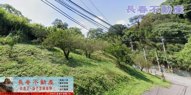 苗栗大湖農地-4