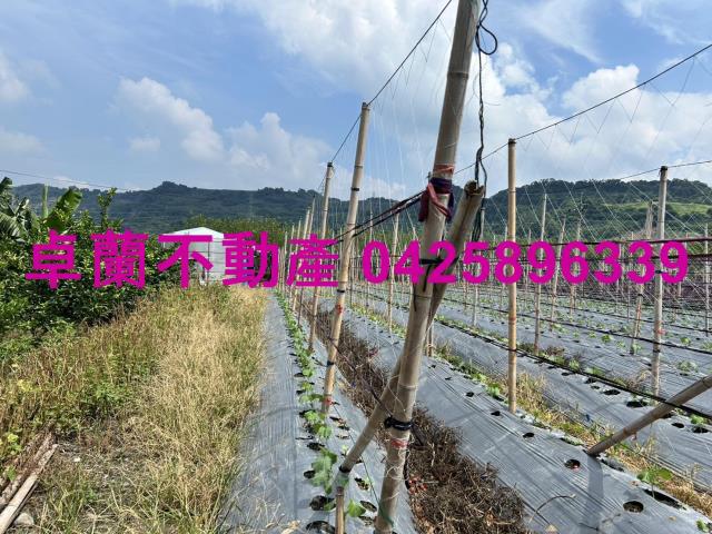 苗栗卓蘭農地-1