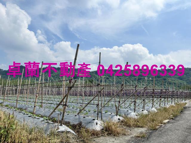 苗栗卓蘭農地-5